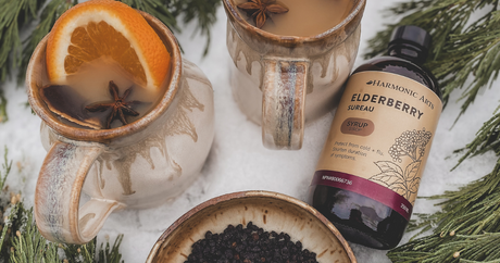 Elderberry Hot Toddy