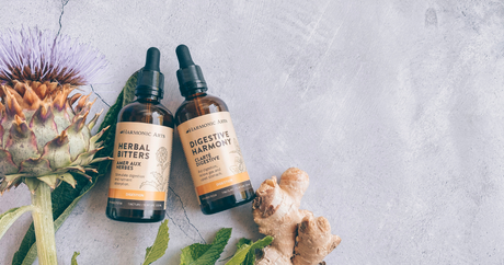 Get to Know Our Digestion Tincture Blends