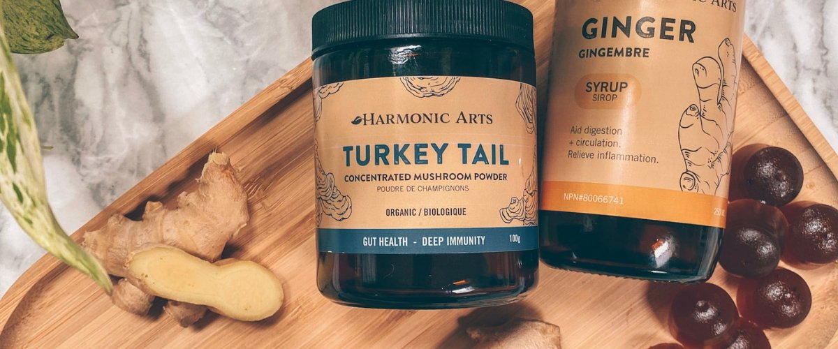 Gut Gummies with Turkey Tail & Ginger - Harmonic Arts