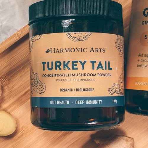 Gut Gummies with Turkey Tail & Ginger - Harmonic Arts