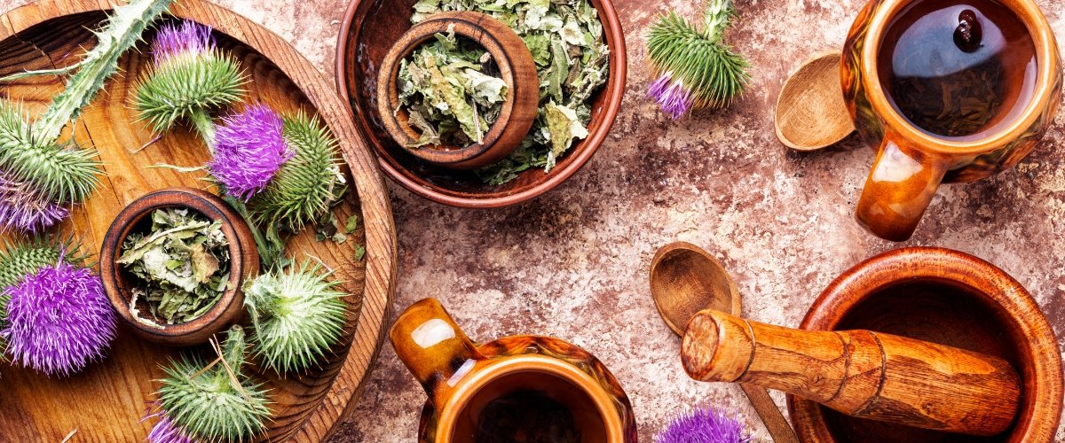 Spring Forward with Fortifying Herbs & Mushrooms - Harmonic Arts