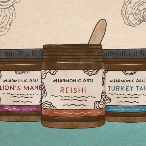 The Journey of Our Concentrated Mushroom Powders - Harmonic Arts