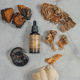 5 Mushroom Tincture