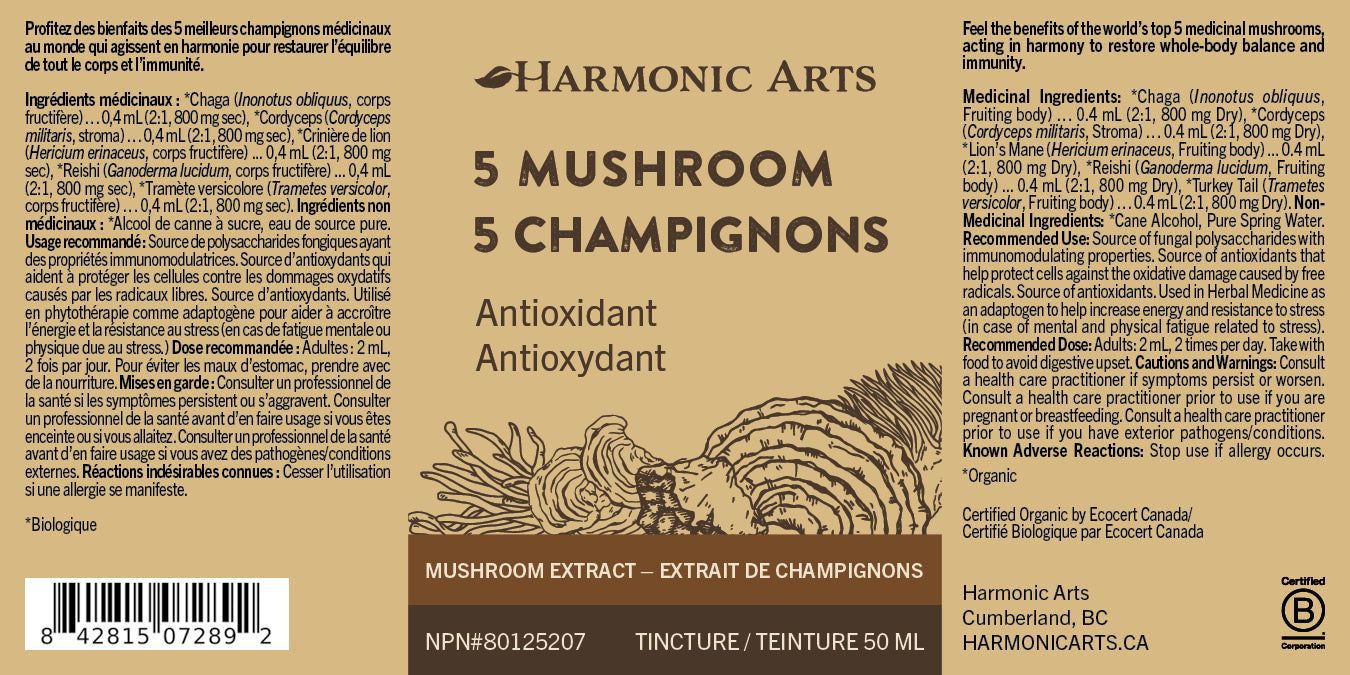 5 Mushroom Tincture