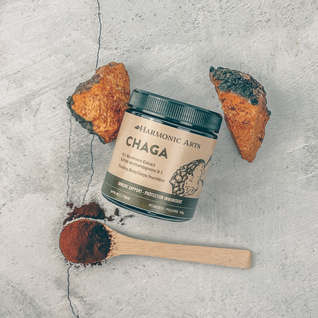 Chaga Concentrated Mushroom Powder