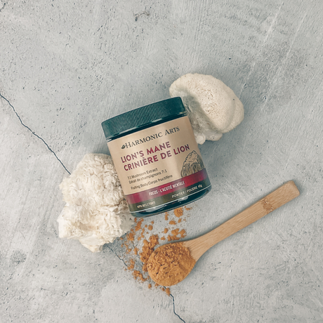 Lion's Mane Mushroom Powder