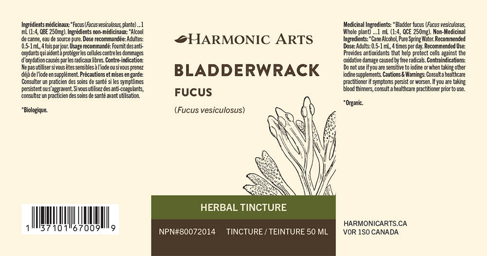 Bladderwrack Tincture - Harmonic Arts