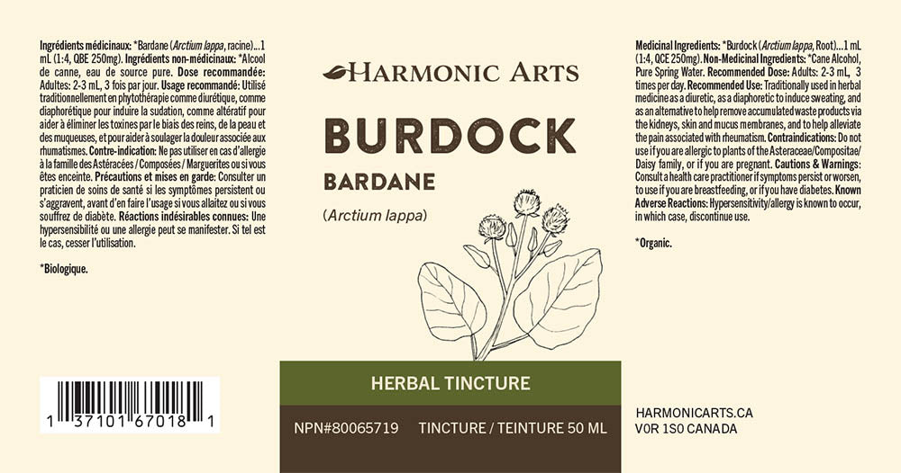 Burdock Root Tincture - Harmonic Arts