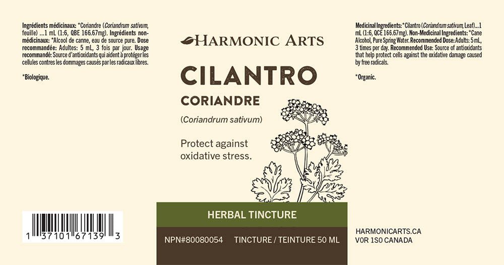 Cilantro Tincture - Harmonic Arts