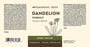 Dandelion Root Tincture - Harmonic Arts