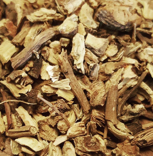 Echinacea Purpurea Root - Organic - Harmonic Arts