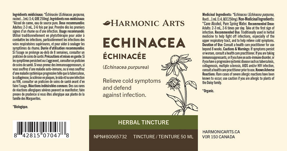 Echinacea Purpurea Root Tincture - Harmonic Arts