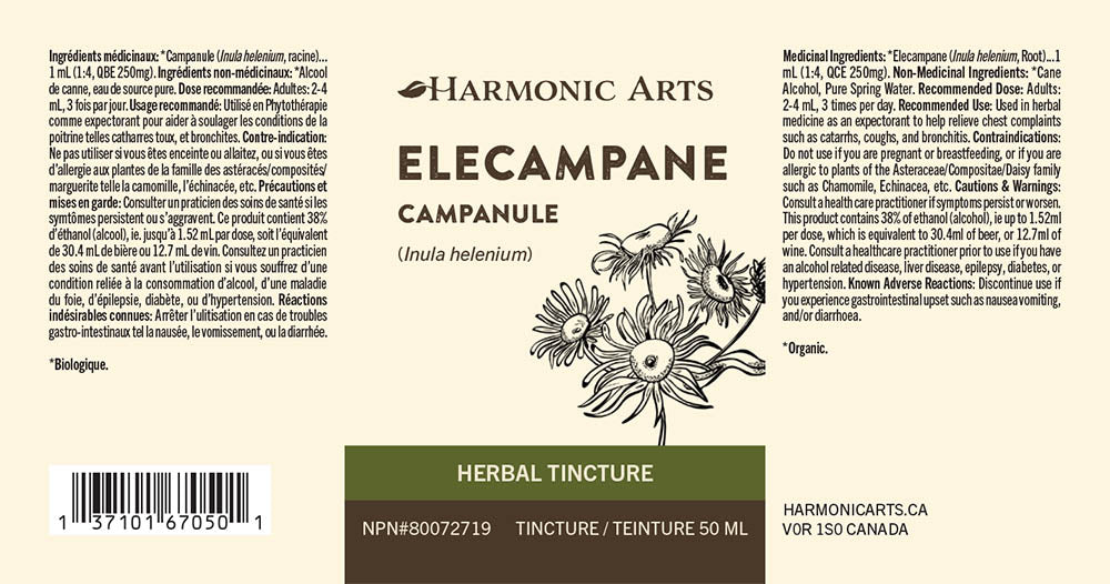 Elecampane Tincture - Harmonic Arts