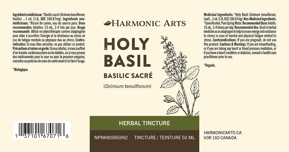 Holy Basil Tincture - Harmonic Arts