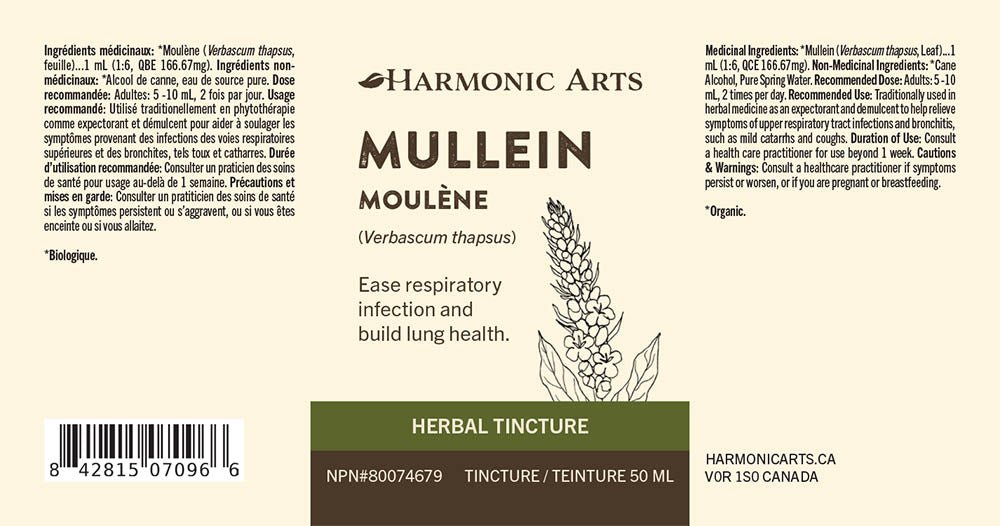 Mullein Leaf Tincture - Harmonic Arts
