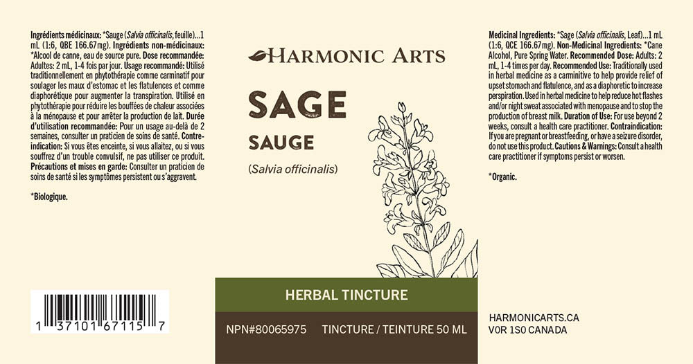 Sage Leaf Tincture - Harmonic Arts